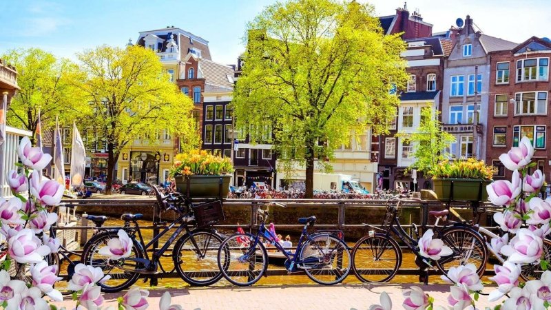 Улицы Амстердама