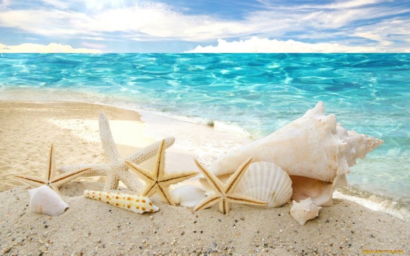 Весы напольные Kelli 1516