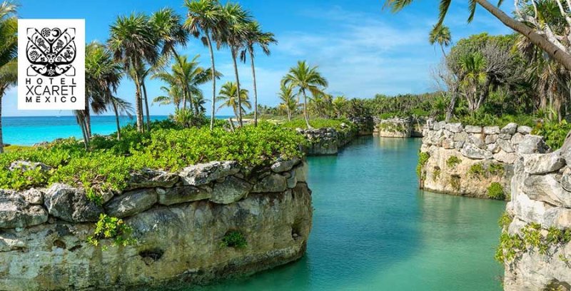 Мексика Ривьера Майя Пеликаны