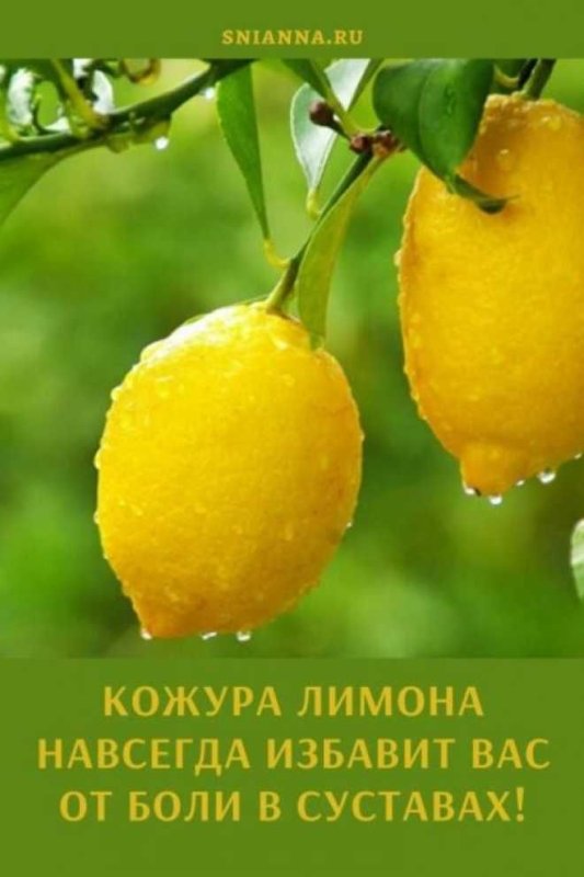 Красивый лимон