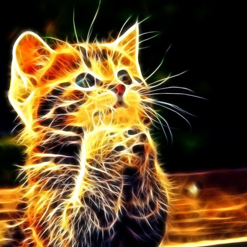 Красивые темы на телефон