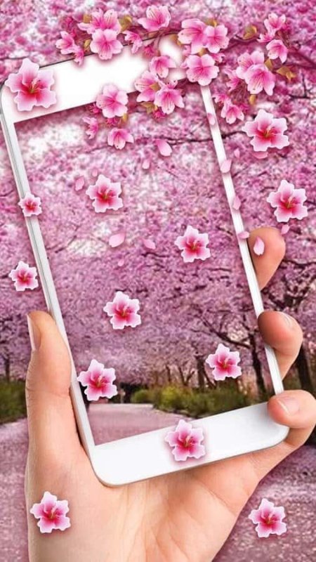 Заставка на телефон Сакура