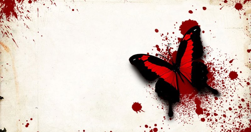 Черно красная бабочка