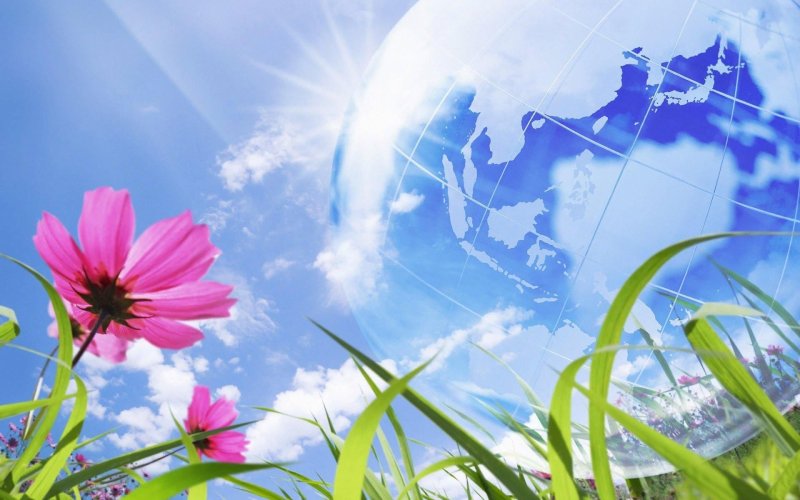 Природа экология