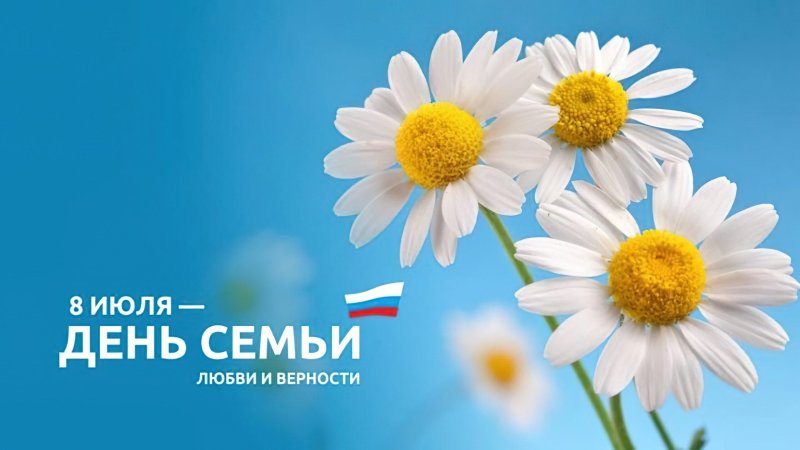 Ромашка день семьи