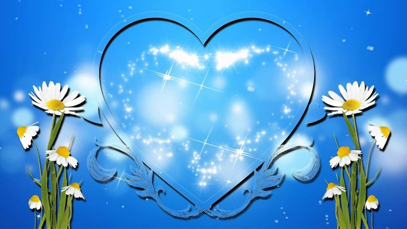 Ромашка день семьи