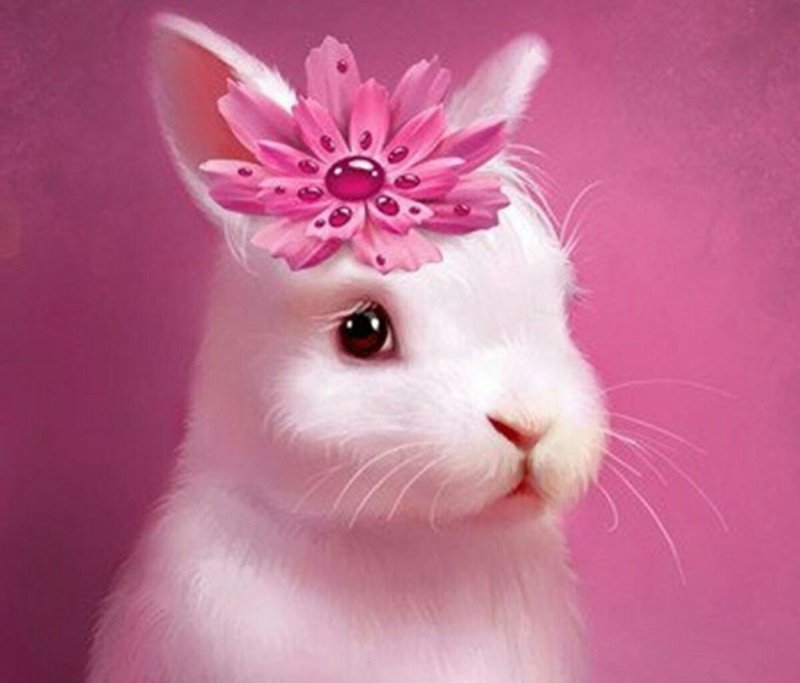 Розовый кролик