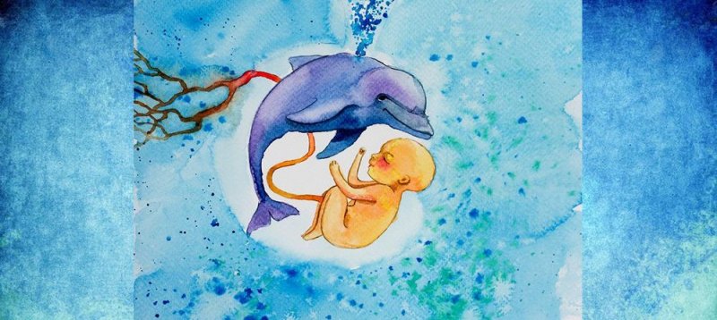 Рыбки на зачатие ребенка