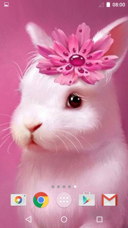 Животные на экран телефона