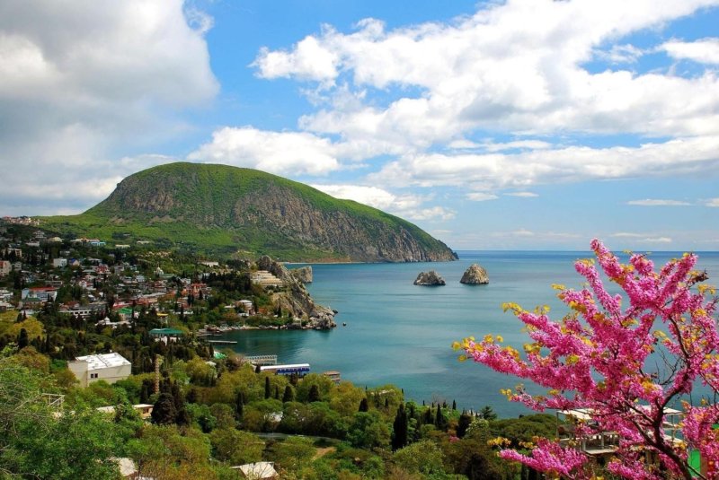 Гора в Коктебеле медведь