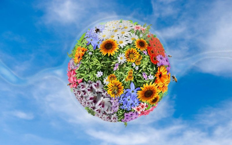 Международный день цветка