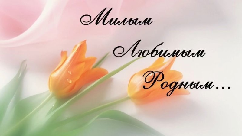 С 8 марта милые дамы