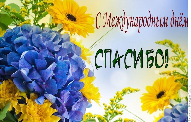 Желто голубые цветы