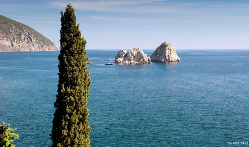 Артек Гурзуф Крым