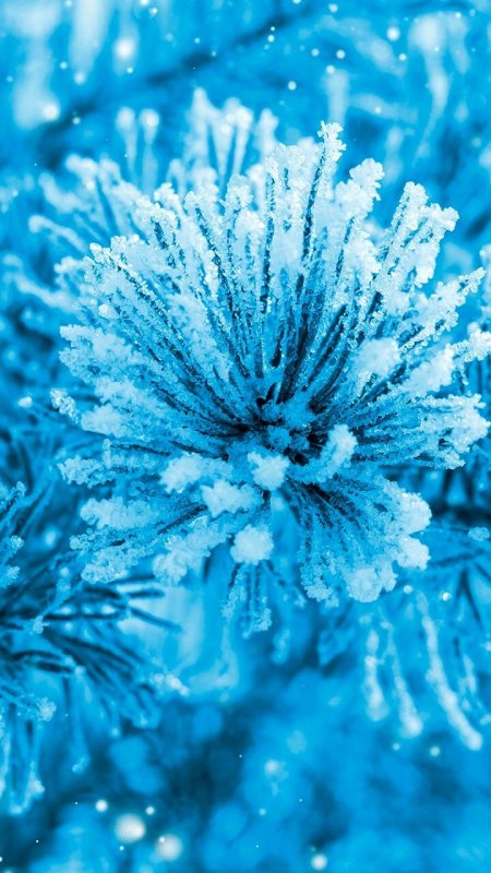 Голубая зима