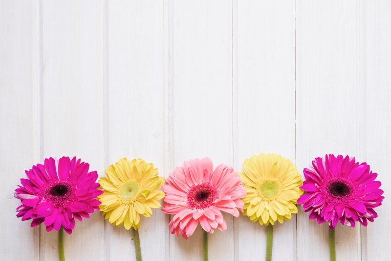 Герберы разноцветные