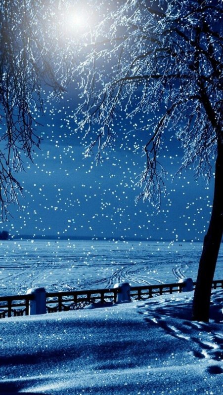 Зимний вечер