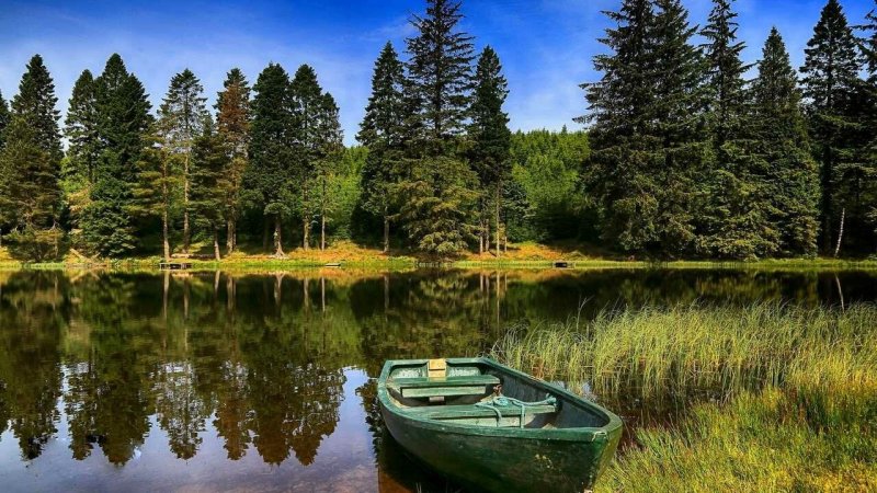 Озеро в лесу