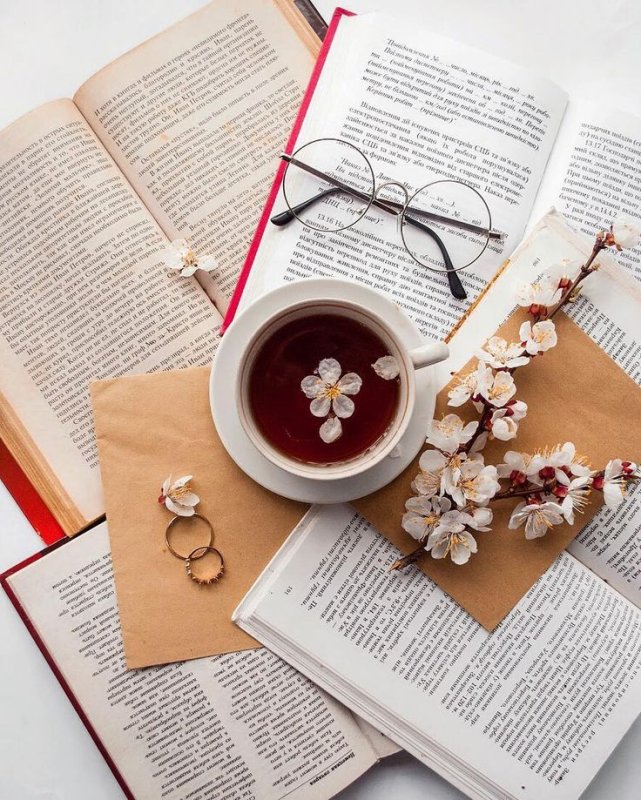 Эстетика очки и книги