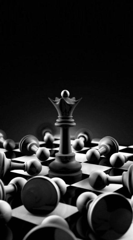 Шахматы арт