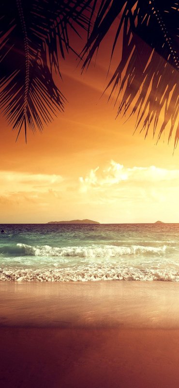 Тропический пляж