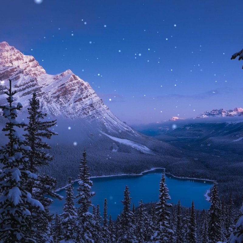 Снежный лес и горы