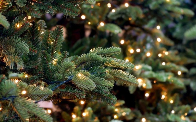 Гирлянда Посса на елке