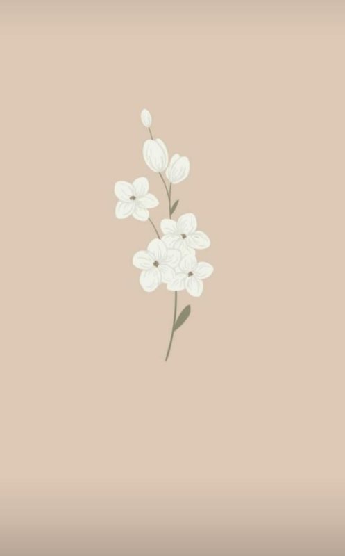 Обложки для актуальных Минимализм бежевые