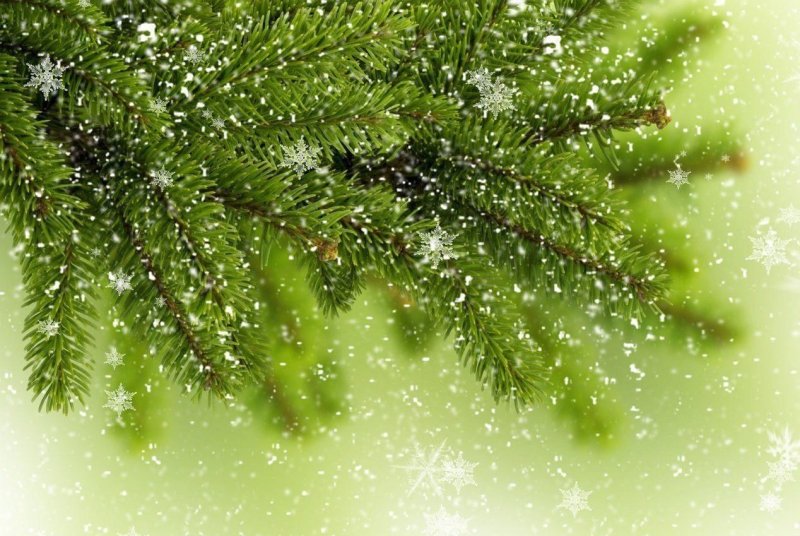 Красивый новогодний фон