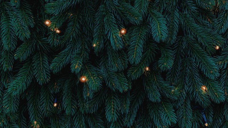 Новогодняя елка с гирляндой