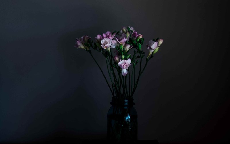 Цветы на темном фоне