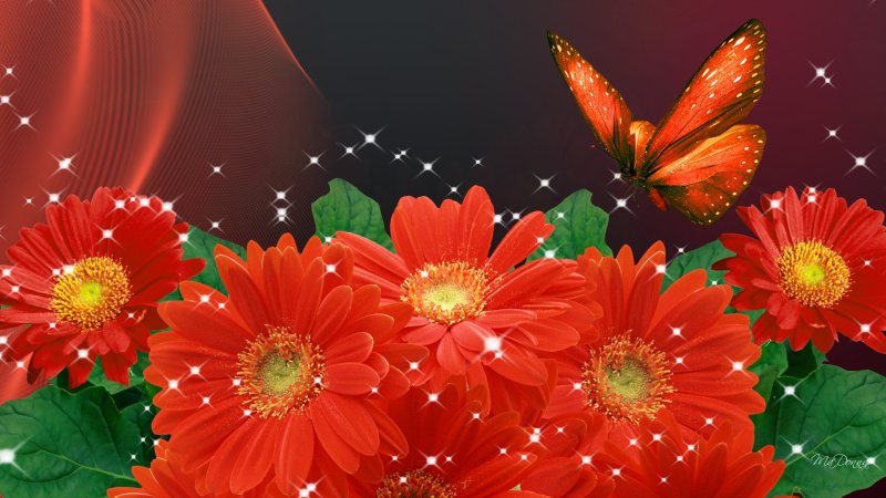 Яркие цветы фон