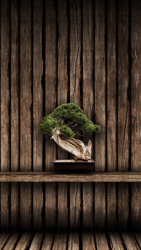 Креативные заставки на телефон