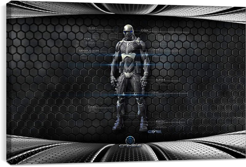 Crysis 1 нанокостюм