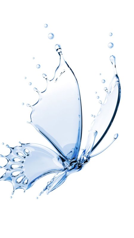 Бабочки над водой