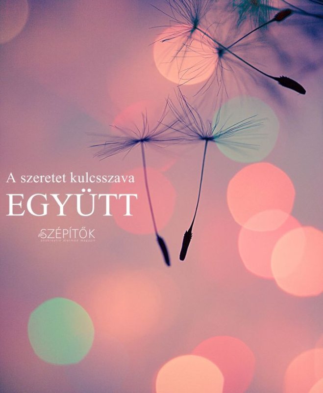 Стильные обои на телефон