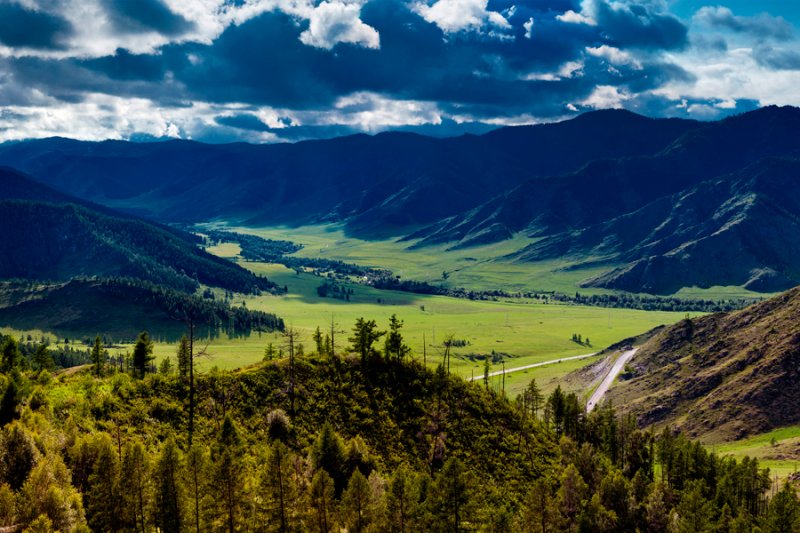 Карпаты, Урал, Алтай.