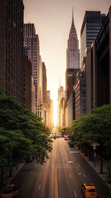 Нью-Йорк Сити