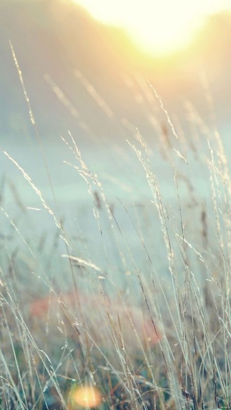 Природа светлая