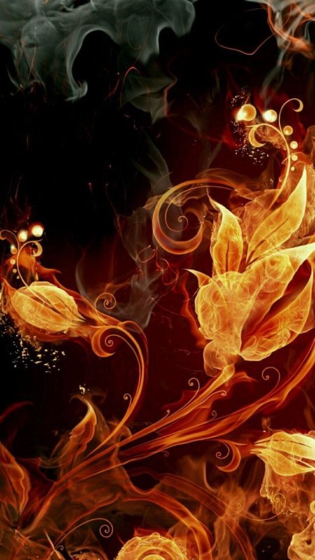 Огненный цветок