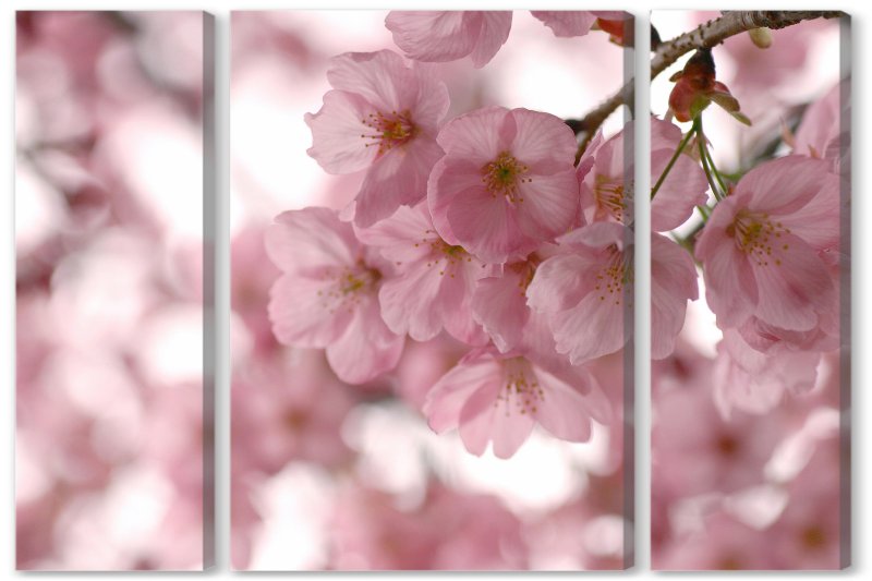 Красивая Весна