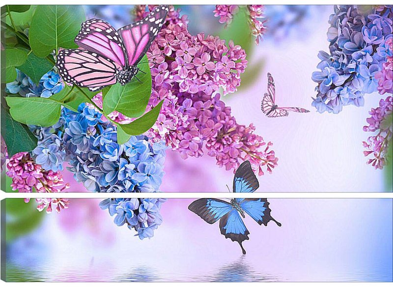 Бабочка на цветке