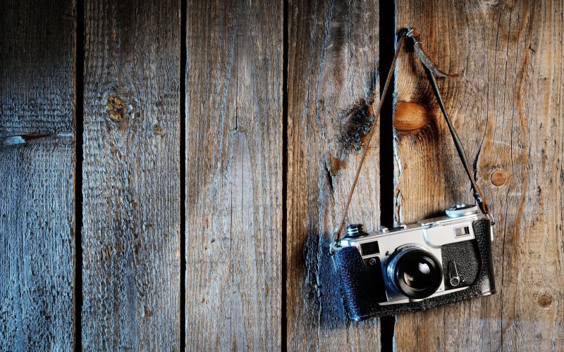 Дерево фон с фотоаппаратом