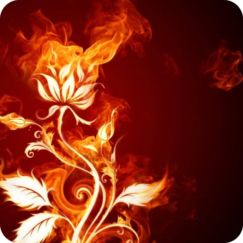 Огненный цветок