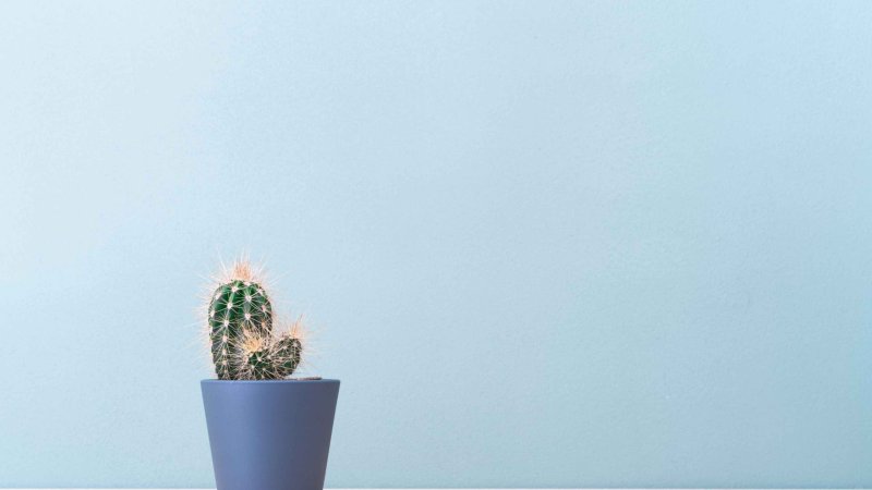 Фон Минимализм