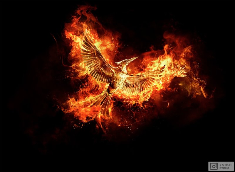 Огненный Сокол Рарог