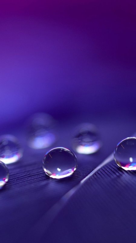 Стильные обои на телефон