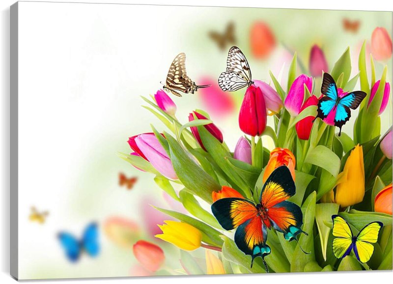 Фон бабочки