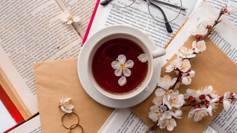 Чай и книга Эстетика