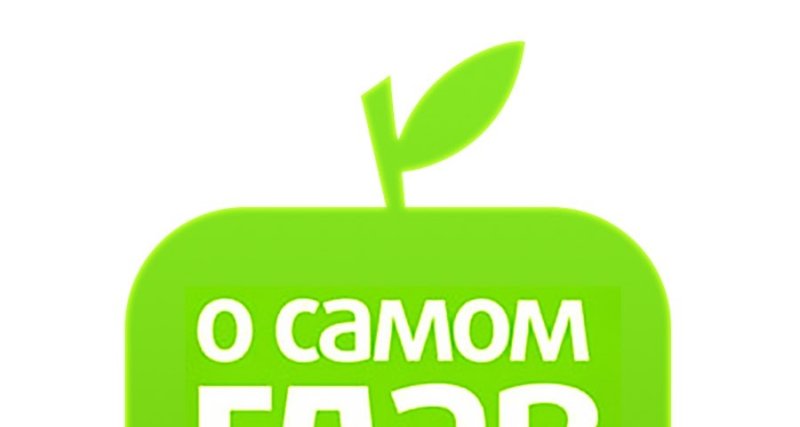 О самом главном логотип Россия 1